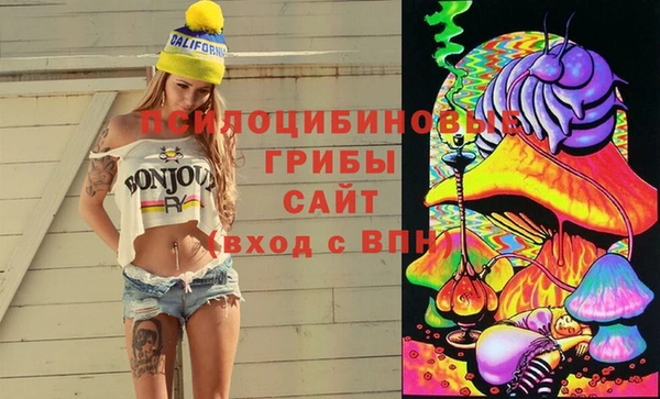 дмт Балахна